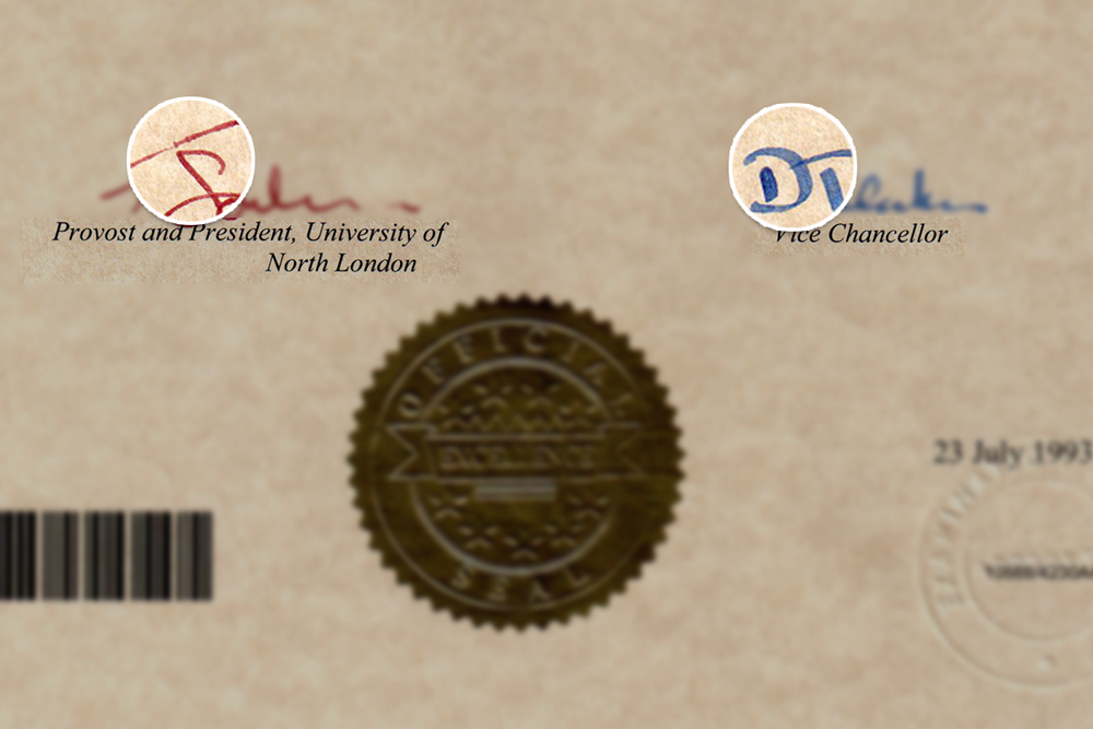 2-Color-Signature-Zoom-1.png