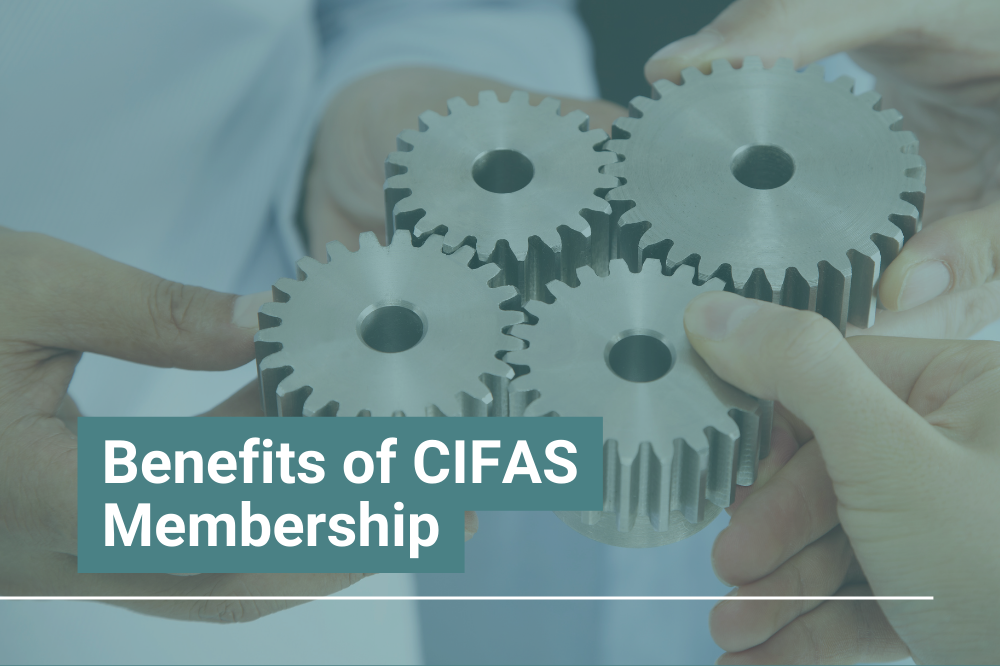 Cifas Verifile - Leveraging CIFAS for Fraud Prevention