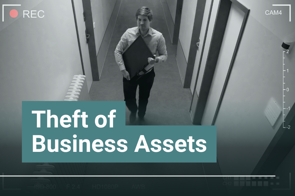 Theft-of-Business-Assets.png