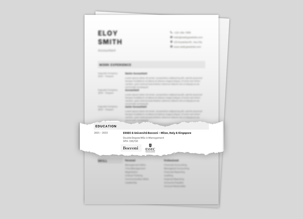 Fake CV